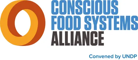COFSA convened by UNDP